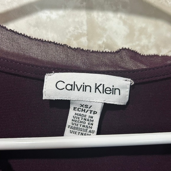 Calvin Klein Blouse Top XS Extra Small Sheer Puff Sleeve‎ V Neck Plum - Picture 6 of 11